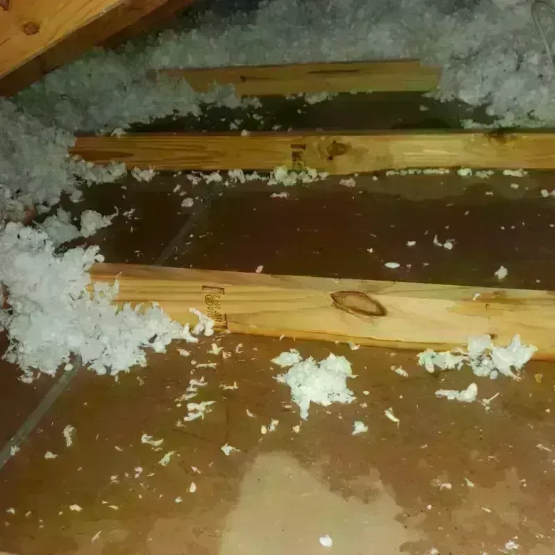 Attic Water Damage in King William County, VA