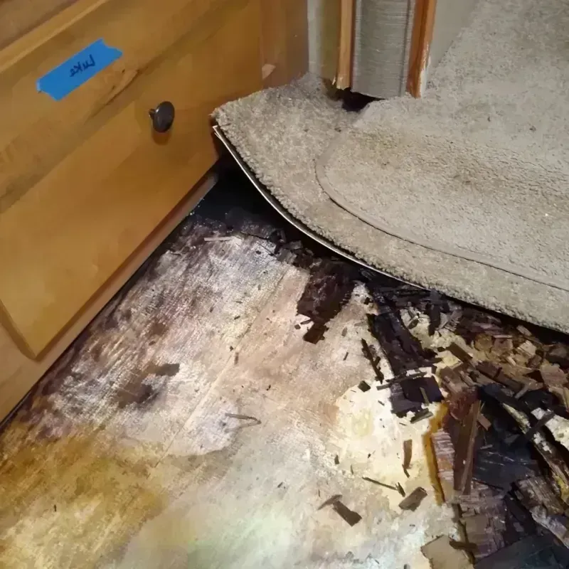 Wood Floor Water Damage in King William County, VA